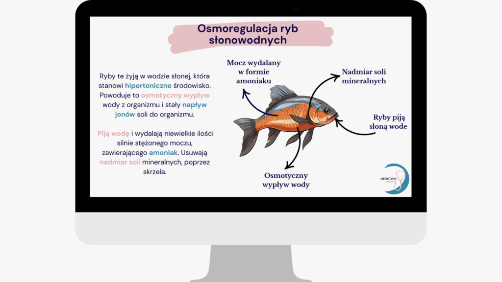 korepetycje kurs biologia matura