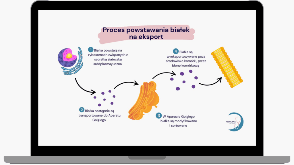 korepetycje kurs biologia matura