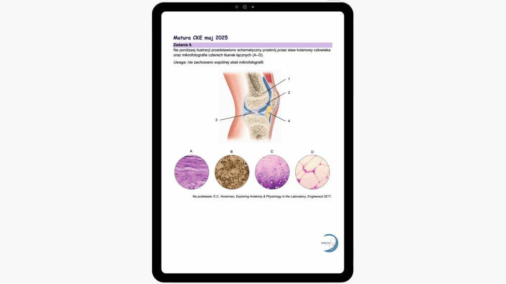 korepetycje kurs biologia matura